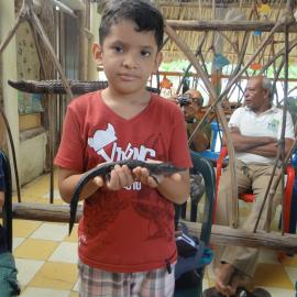 A young boy holds young crocodile as part of the education programme. Credit: ASOCAIMAN