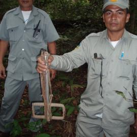 Two rangers hold up the snares they found and removed from the forest