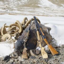 Rifles and the poached remains - antlers of mountain sheep.