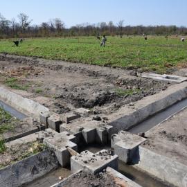 Irrigated community plots at Chikolongo