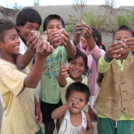 Niños de las comunidades adoptan simbólicamente un tortuguito. Credit: Fundación Biodiversa Colombia