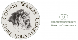 Logos of the Cottar Wildlife Conservation Trust and Olderkesi Community Wildlife Conservancy