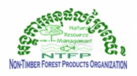 Logo of Non-Timber Forest Products organisation