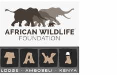 Combined logos of the African Wildlife Foundation and TAWI Lodge