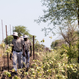 Photo by WWF-SA Nick Aldridge