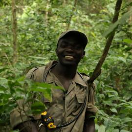 Wildlife service ranger