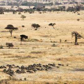 The northern Tanzania landscape.