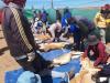 Shearing the vicuna.