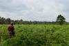 Forest Watcher in Indonesia.